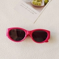 Retro oval sunglasses with thick rose pink frames and dark lenses for a vintage look - Rose Red