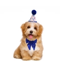 Blue sequin bowtie and printed party hat set for small dogs or cats birthday - Dark Blue Hat + Large Bow Tie