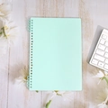 Mint green frosted A5 loose-leaf notebook binder with translucent spiral rings on white desk - B5-26 Holes / Morandi Green - (2 Pieces Including Clips)