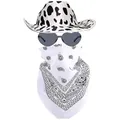 Set cappello da cowboy rosa con stampa mucca, occhiali a cuore e bandana paisley - Set 3 Pezzi Cappello Stampa Mucca