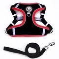 Red and black dog harness vest and leash set with reflective trim and durable metal D-ring - Black