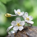 Handmade S925 sterling silver forget-me-not flower ring with gold floral buds and matte petals - Silver and Gold Split / Tri-color (Gold/Silver/Rose Gold)