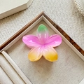 Pinza per capelli a forma di fiore frangipane con sfumatura arcobaleno su vassoio in legno - Verde Rosa Rosso Giallo Sfumato