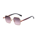 Modern hexagonal gold sunglasses with purple gradient lenses and two-tone temples - C6 Gray Pink (Gold Frame Gray Pink Gradient Lens)