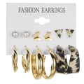 6-pair set of gold alloy earrings with pearls, geometric shapes, and resin hoops on card - 6 Pairs Set / Tiger Print Gold