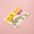 DIY dried flower set with yellow daisies and green ferns on a soft pink background - Yellow Flower Field