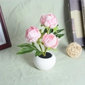 Pink artificial peony LED night light in a white ceramic pot for bedroom desktop decor - Style D-3 Peony Heads-Pink-Battery