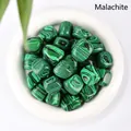 Pietre burattate di malachite lucida con trama a strisce verdi in ciotola di ceramica bianca - Malachite / 100 g
