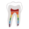 Creative rainbow enamel tooth brooch pin with colorful stripes and silver metal finish - Creative Tooth Style (XZ7142)