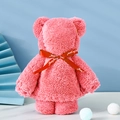 Pink coral fleece towel bear with Just for you ribbon bow in a creative gift style - Little Bear Watermelon Red (without Packaging) / 30*30cm