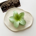 Translucent light green frangipani flower hair claw clip on white ceramic plate - Large / Gradient Green
