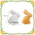 3D rabbit silicone mold for Easter candles with size dimensions and orange sample display - Rabbit 001 / White