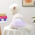 Purple striped dog sanitary pantie with silver star tulle skirt for small pets - Purple Star Mesh