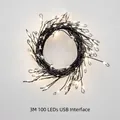 3M 100 LED warm white fairy string lights with USB plug for Christmas decoration - 3m 100LED USB + Remote / Black Wire Warm White