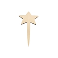 Single star-shaped unfinished wooden plant sign tag with natural wood grain finish - No.3 (Star Shape)