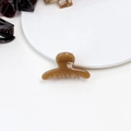 Mini amber jelly hair claw clip with a translucent finish for women in a small size - Jelly Mini Claw - Straight Light Coffee