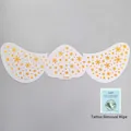 Gold snowflake faux freckles face tattoo stickers with EasyUR removal wipes set - Snowflake Style (K92009)