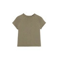 Slim fit knitted cropped T-shirt with rolled edges in trendy sage green color - S / Grey Green
