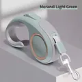 Guinzaglio retrattabile per cani verde chiaro Morandi con impugnatura grigia antiscivolo - 3 Metri / verde chiaro