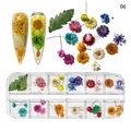 Boîte de 12 fleurs séchées colorées pour nail art avec hortensias et marguerites - Série Multicolore Romantique (NDF-21-06)