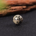 Spherical 16mm natural stone bead with grey base and black spotted pattern on black surface - Spotted Stone