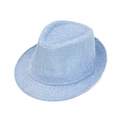 Detailed macro texture of light blue linen weave on a classic summer trilby fedora hat - Approx. 58cm / Light Blue