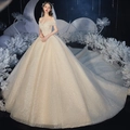 Champagne off-shoulder sequin ball gown wedding dress with long train in starry design - US 26W / Trailing Dress / Champagne