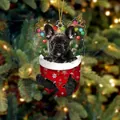 Französische Bulldogge im roten Weihnachtsstrumpf als kreativer Christbaumschmuck Deko - Schwarze Bulldogge Typ 2
