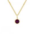14K gold stainless steel June birthstone amethyst pendant necklace with adjustable chain - June Purple - Gold