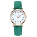 Dettaglio del cinturino in pelle smerigliata verde scuro e della cassa rotonda oro rosa - Orologio Singolo Verde