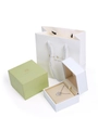 Premium-Schmuckset mit grüner Schleifenbox, weißem Etui und passender Tragetasche - Kleines Set Box + Weiße Papiertüte / Set