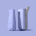 6-Fold Umbrella / With Capsule Box / Lavender Purple