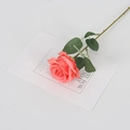 Single coral pink velvet artificial rose with green leaves on white background - Silk Orange