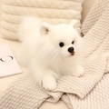 Adorable white Pomeranian plush toy in a lying position with fluffy white fur - Pomeranian