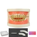 Iced out hip hop grillz set in 14K gold plating with CZ diamonds and fitting accessories - Gold Hollow Pave