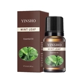 10ml Minzblatt Ätherisches Öl in einer braunen Glasflasche mit weißer Papierverpackung - Minze