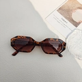 Gafas de sol poligonales con estampado de leopardo y lentes marrones para viajes - Estampado de leopardo