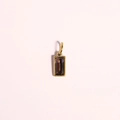 Golden rectangular stainless steel pendant with a dark gemstone on a pink background - February (Gold)