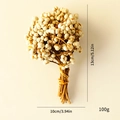 Natural white dried berries bunch for Christmas decoration measuring 13cm in height - White Berries Bunch 100g