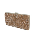 Close-up of golden glitter evening clutch with elegant silver metal frame and clasp - Champagne