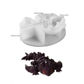 3D dragon silicone mold for DIY candles and resin crafts, detailed dinosaur shape design - Rose Dragon / White