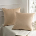 Set of two beige velvet square pillow covers with smooth soft texture for sofa decor - 3# Beige / 30*50cm Pillowcase (without Insert)