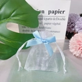 White organza gift bag with a light blue ribbon drawstring for small favors - Sky Blue