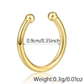 Dettaglio dell'orecchino in argento 925 con diametro 0,9 cm e punzonatura S925 - Stile Anello Semplice / Argento