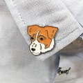 Jack Russell Terrier