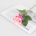 Single artificial velvet rose in pink-white gradient on an open magazine page - Small Velvet Deep Pink