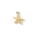 Ciondolo a stella marina minimalista in finitura dorata per gioielli fai da te - 8x7mm / Stella Marina Piccola Placcata Oro
