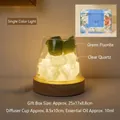 Natural green fluorite and white crystal diffuser lamp set with LED wooden base and oil - Gift Box Set + Single Color Light Base / Green Fluorite + Clear Quartz
