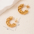 Twisted Hoop (ZHE943)