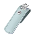 6-piece stainless steel earwax removal kit in a premium light blue leather storage case - 6-Piece Set / Green